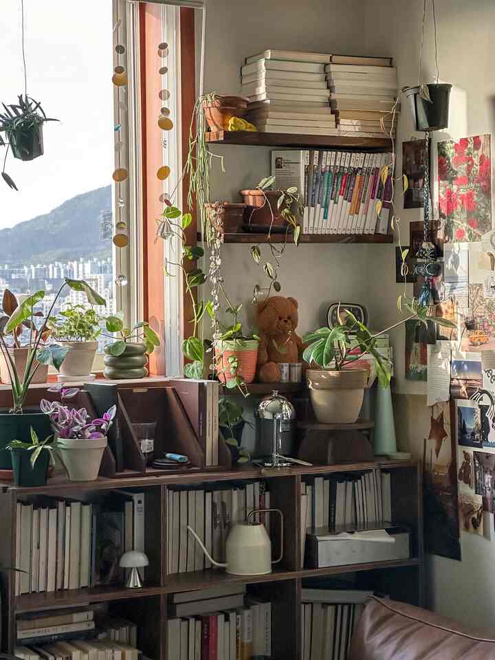 Cozy studio apartment with brown wood tone furniture and various plants arranged