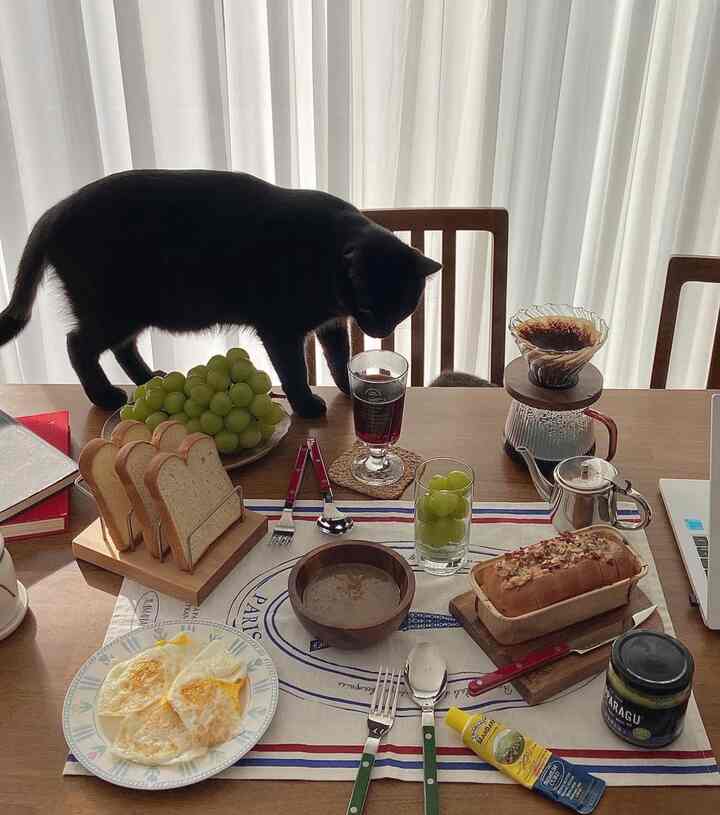 Natural wood tone dining table featuring a cat, bakery items, and home cafe setup in a cozy space
