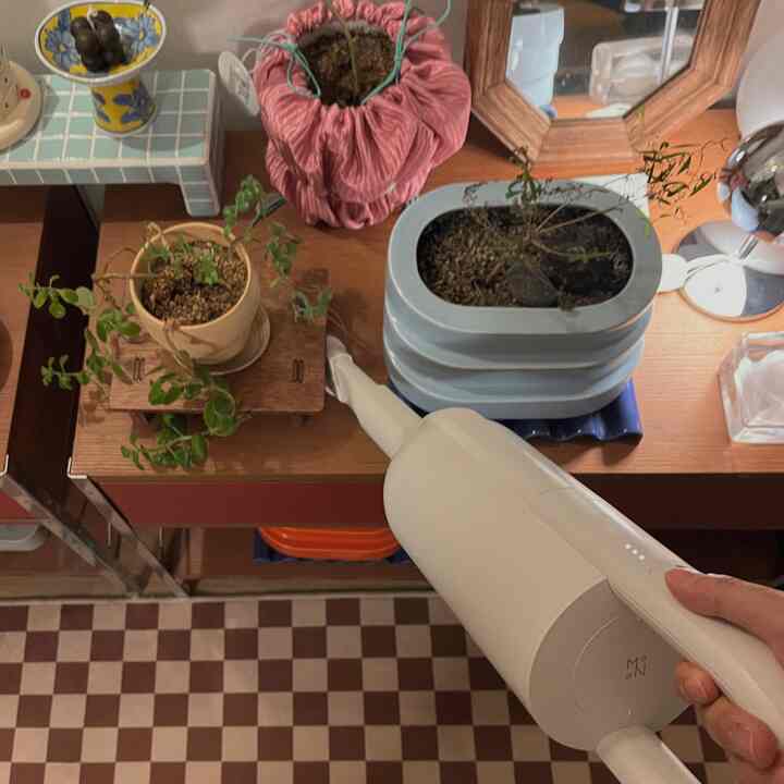 ブラウンの木製棚に植木鉢や鏡が置かれ、コードレス掃除機で埃を掃除するナチュラルな雰囲気のインテリア