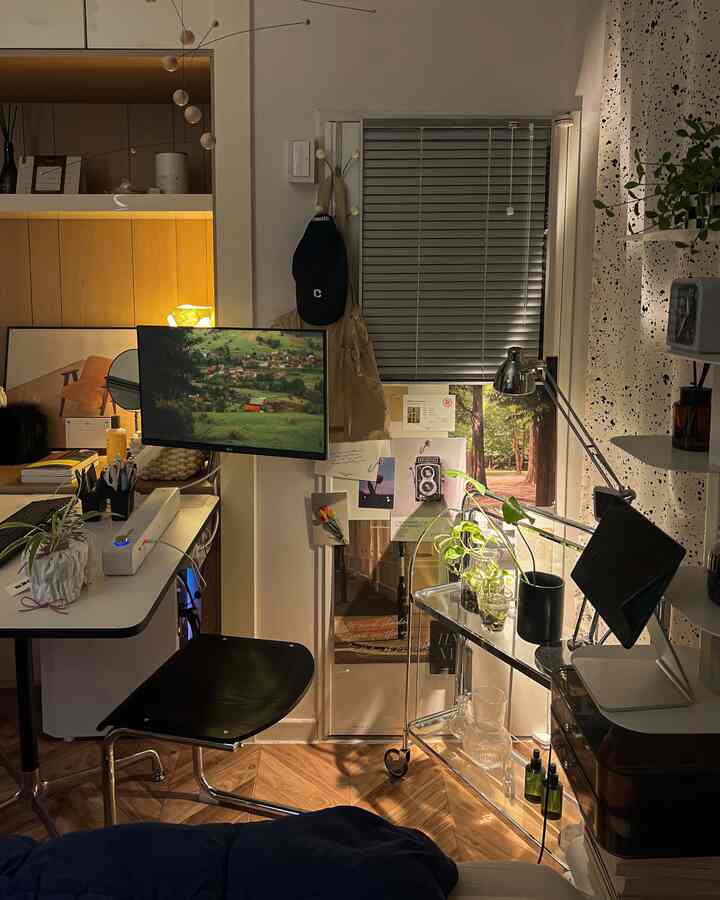 Wood tones and transparent furniture blend in a studio home office featuring desk and plants, creating a cozy workspace