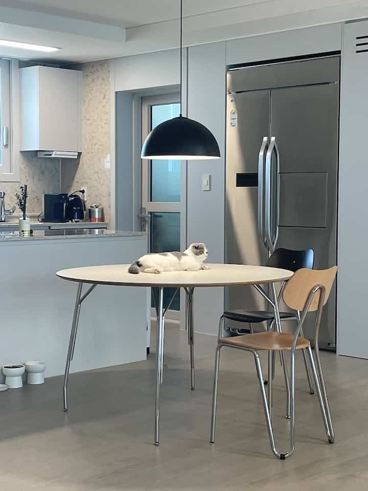 明るくシンプルな色調のキッチン空間、大きな円形テーブルの上に猫がくつろぎ、ステンレス冷蔵庫とアーノチェアが配置された落ち着いた雰囲気のインテリア
