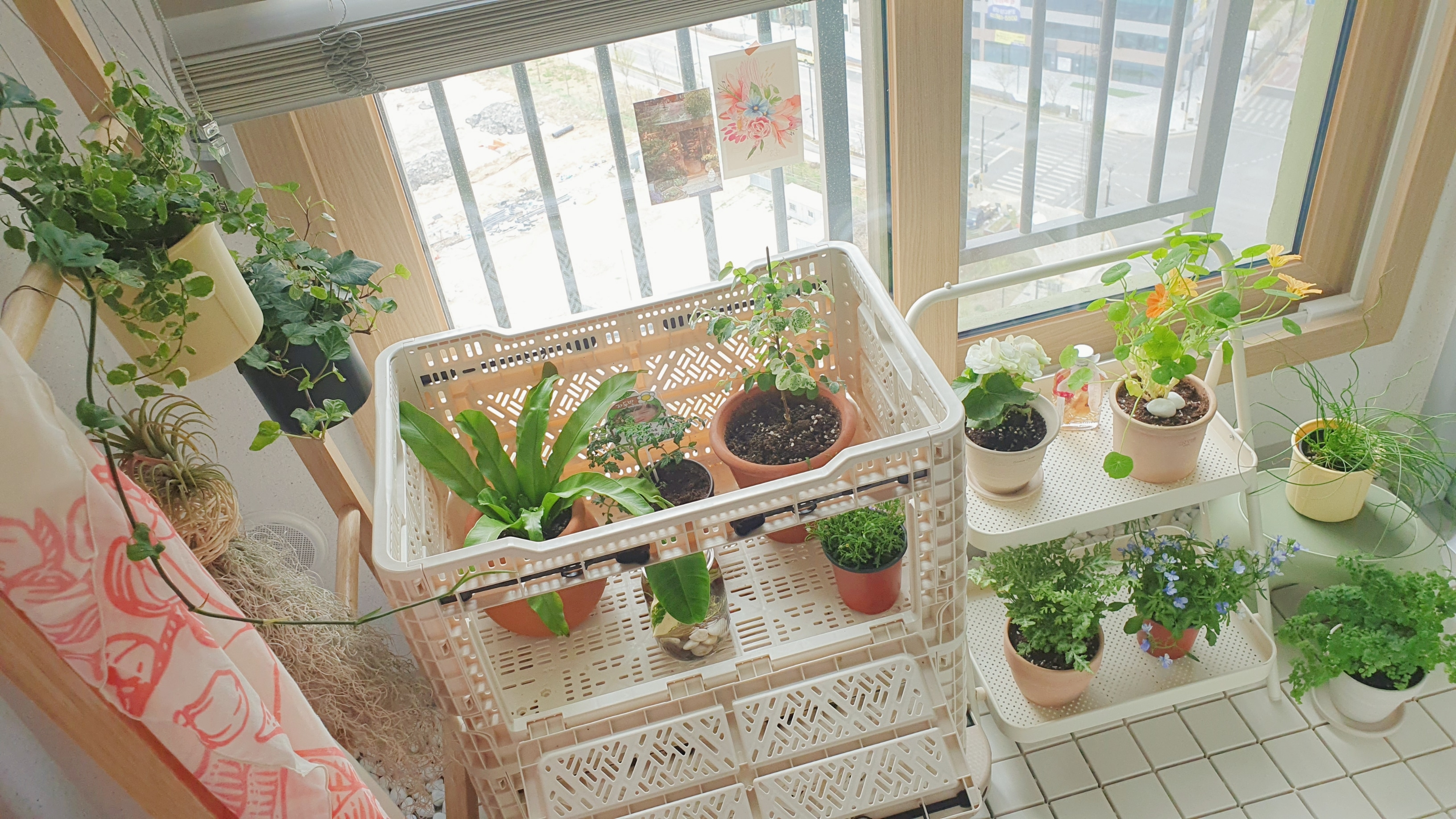 Solid Wood Ladder Clothes Rack Stand user photo
