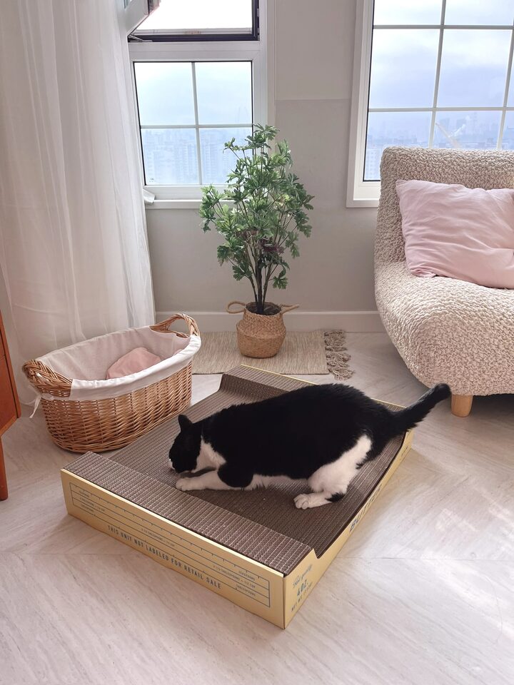 short form carousel card thumbnail