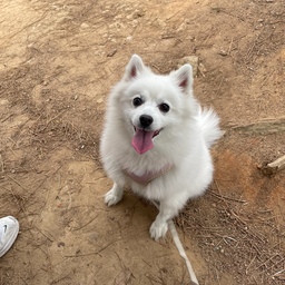오늘 우리 세가족 아침부터 등산 갔다왔어요 🏃🏻‍♀️🏃🏻🐕
집앞 작은 산이지만 셋이서 가는 건 처음이라 작게 시작했어요 