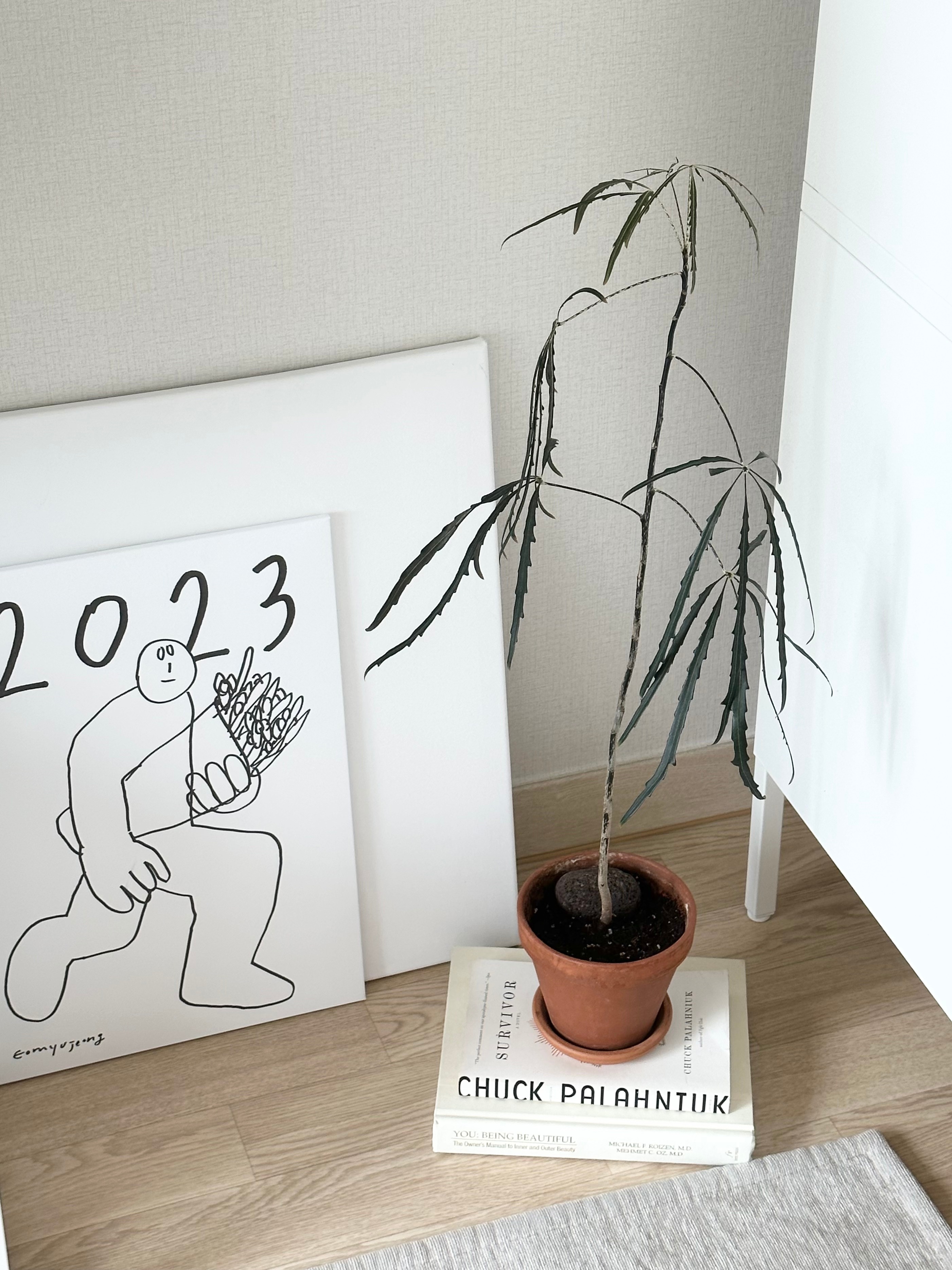 IKEA HÄLLAN ヘッラン 収納コンビネーション 扉付 | 棚・チェスト