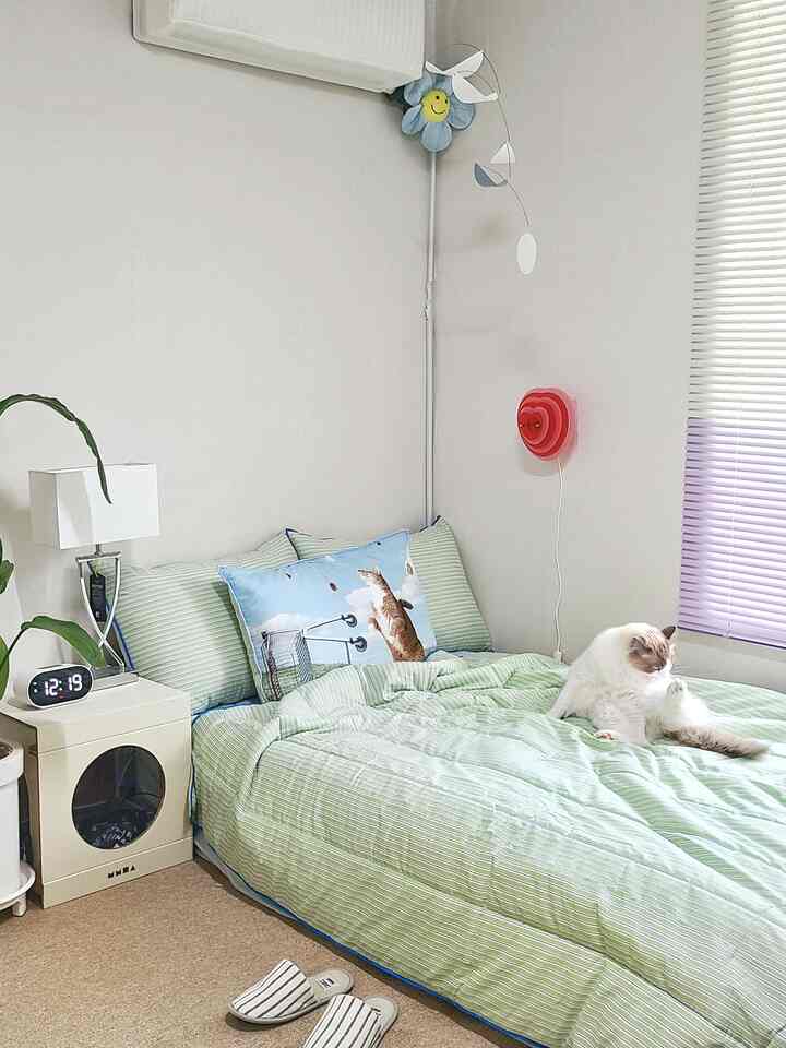 薄いグリーンのストライプ寝具が目立つ一人暮らしの寝室、猫と共に過ごす快適で自然な雰囲気のあるインテリア