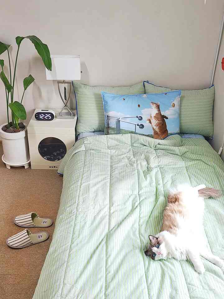 ナチュラルトーンのグリーン寝室、猫の枕と寝具、ナイトテーブルとプラントスタンドが配置された落ち着いた空間