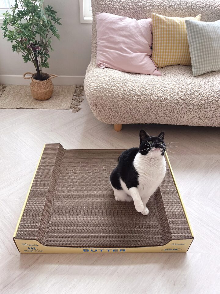 short form carousel card thumbnail