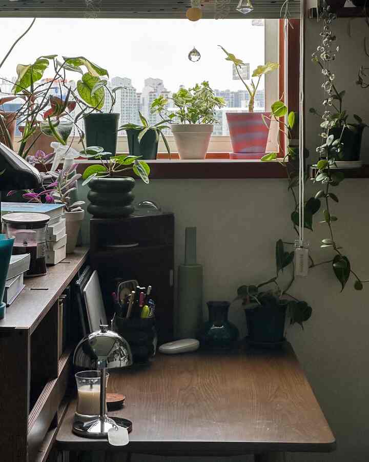 Wood tone home office desk by window featuring natural plants for cozy workspace atmosphere