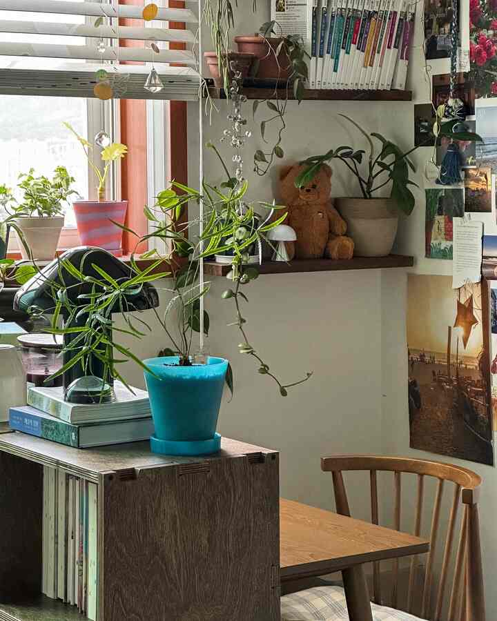 Natural toned small dining room featuring plants and bookshelf with cozy atmosphere