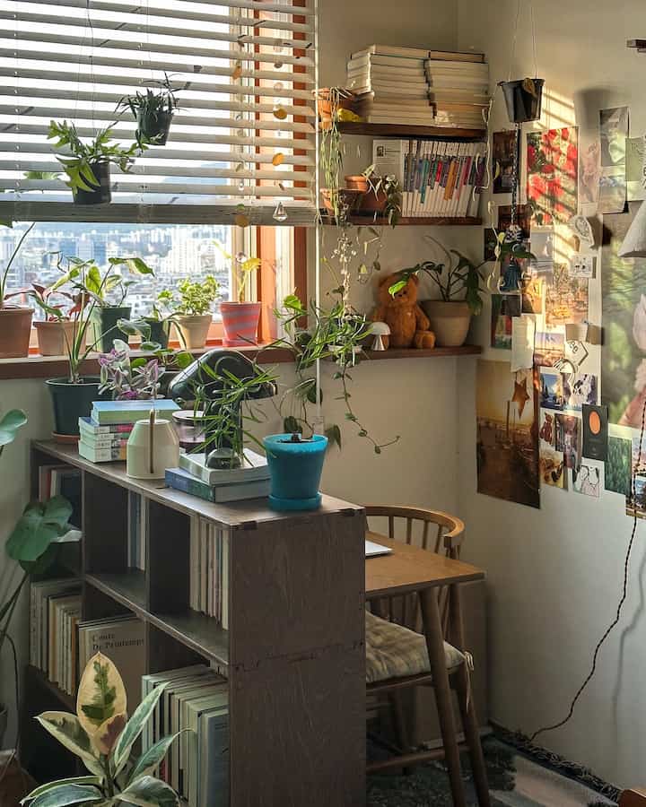 Natural-toned small room featuring plants and books on window sill and shelves bathed in warm sunlight