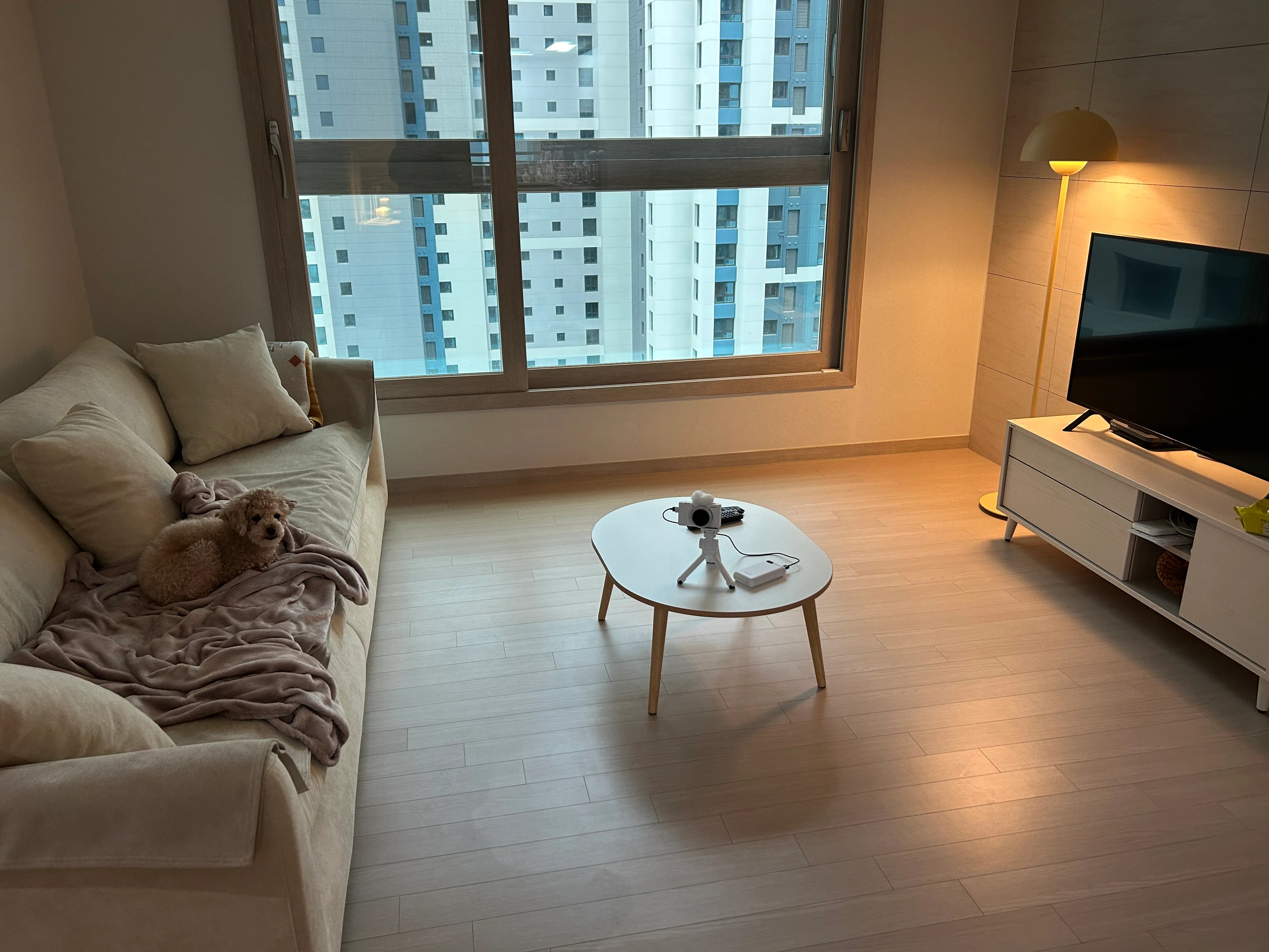 Plain Living Room Coffee Table user photo