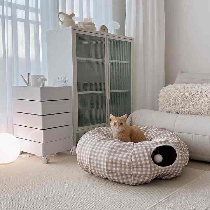 白とベージュの色調のリビング、大きなチェック柄の猫用トンネルベッドとソファが配置された雰囲気のある空間