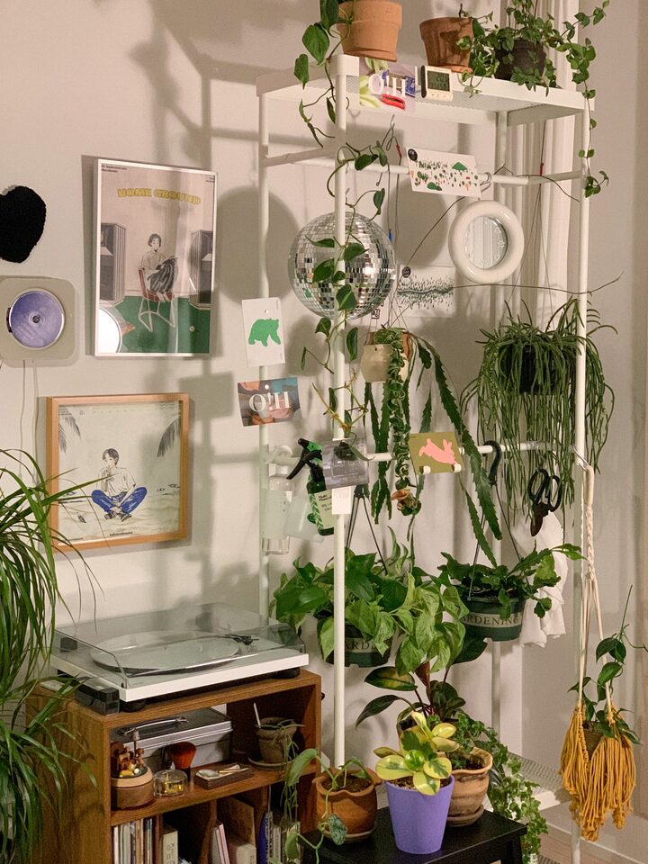 short form carousel card thumbnail