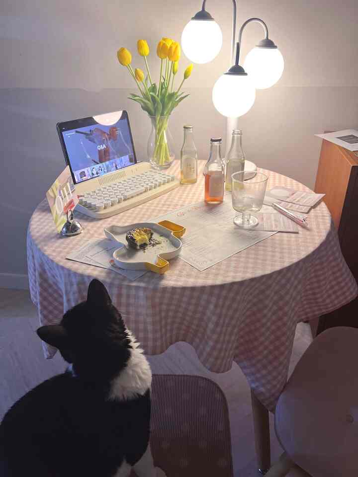 Cozy home cafe space featuring a pink gingham tablecloth dining table under warm yellow lighting, decorated with yellow tulips, drinks, and a black and white cat nearby