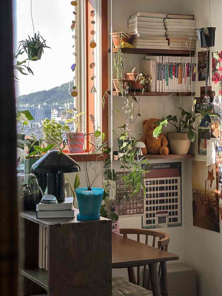 Cozy small dining room with warm wood tones and green plants, featuring books and a cute teddy bear by the window creating a homely atmosphere