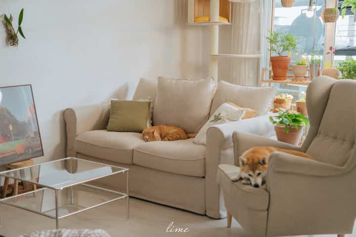 Soft beige-toned living room featuring a large sofa and armchair with a cat and dog comfortably resting, creating a natural atmosphere