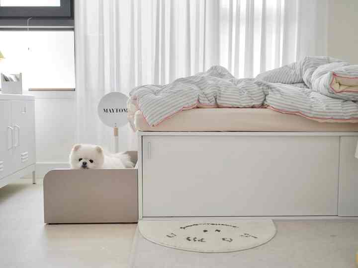 白とベージュのトーンの寝室、マットレスとベッド、ペット用ベッドでくつろぐ犬がいる印象的な空間