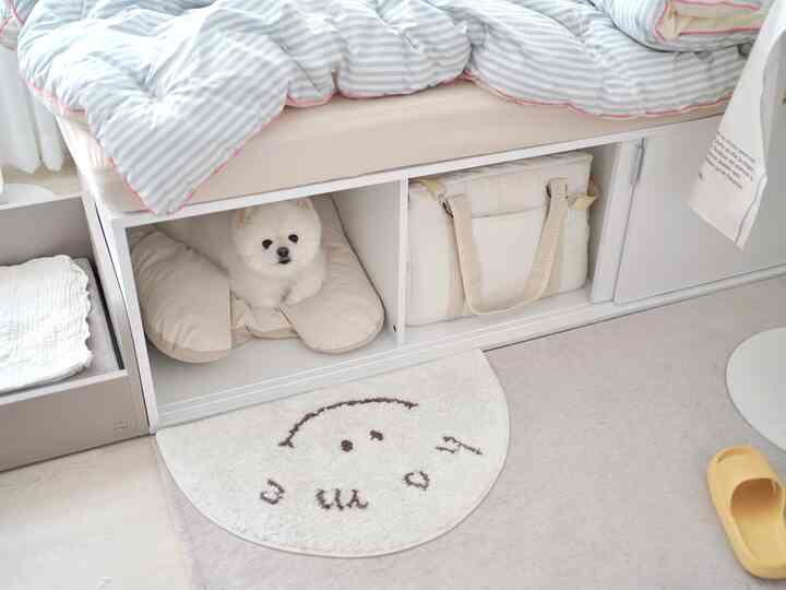 White and beige toned bedroom featuring a cute dog resting on a pet bed inside under-bed storage, creating a cozy atmosphere