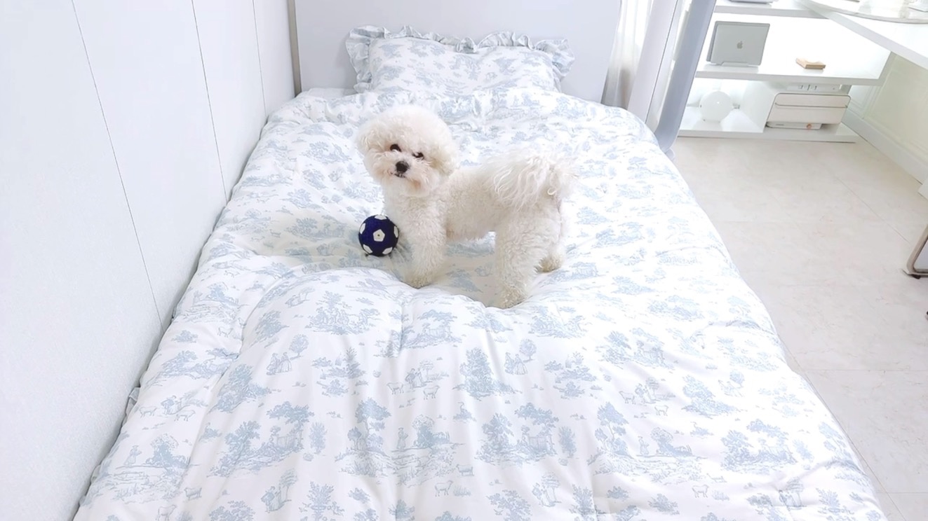 Hotel Style Dust Free Frill Comforter user photo