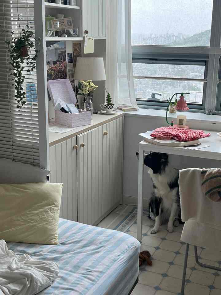 Compact and cozy bedroom in white and light brown tones featuring a white desk, cabinet, and a dog near window with city view