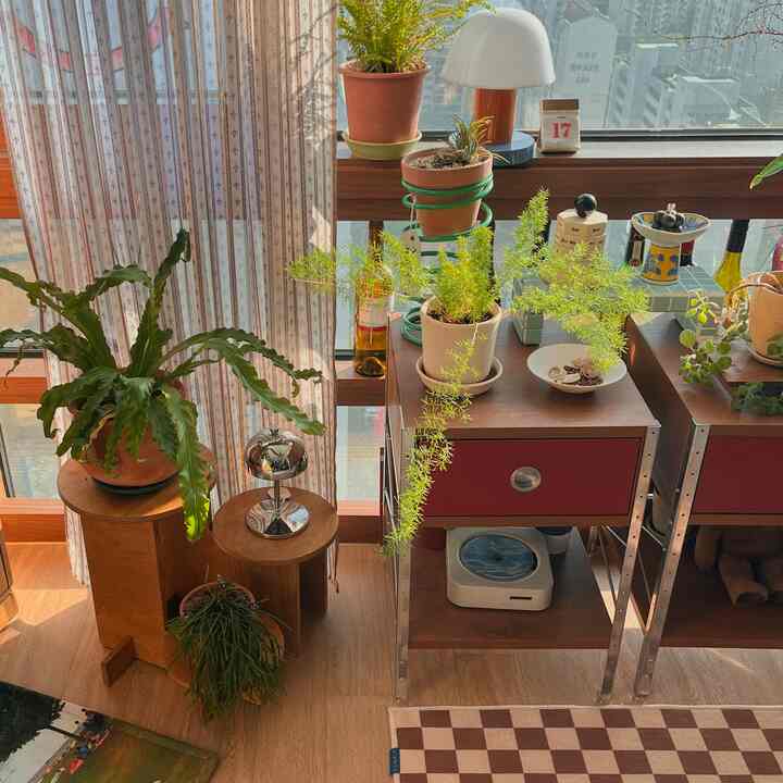 木目調の床と家具があるバルコニー空間、様々な緑の植物とテーブルランプが配置されたナチュラルなインテリア