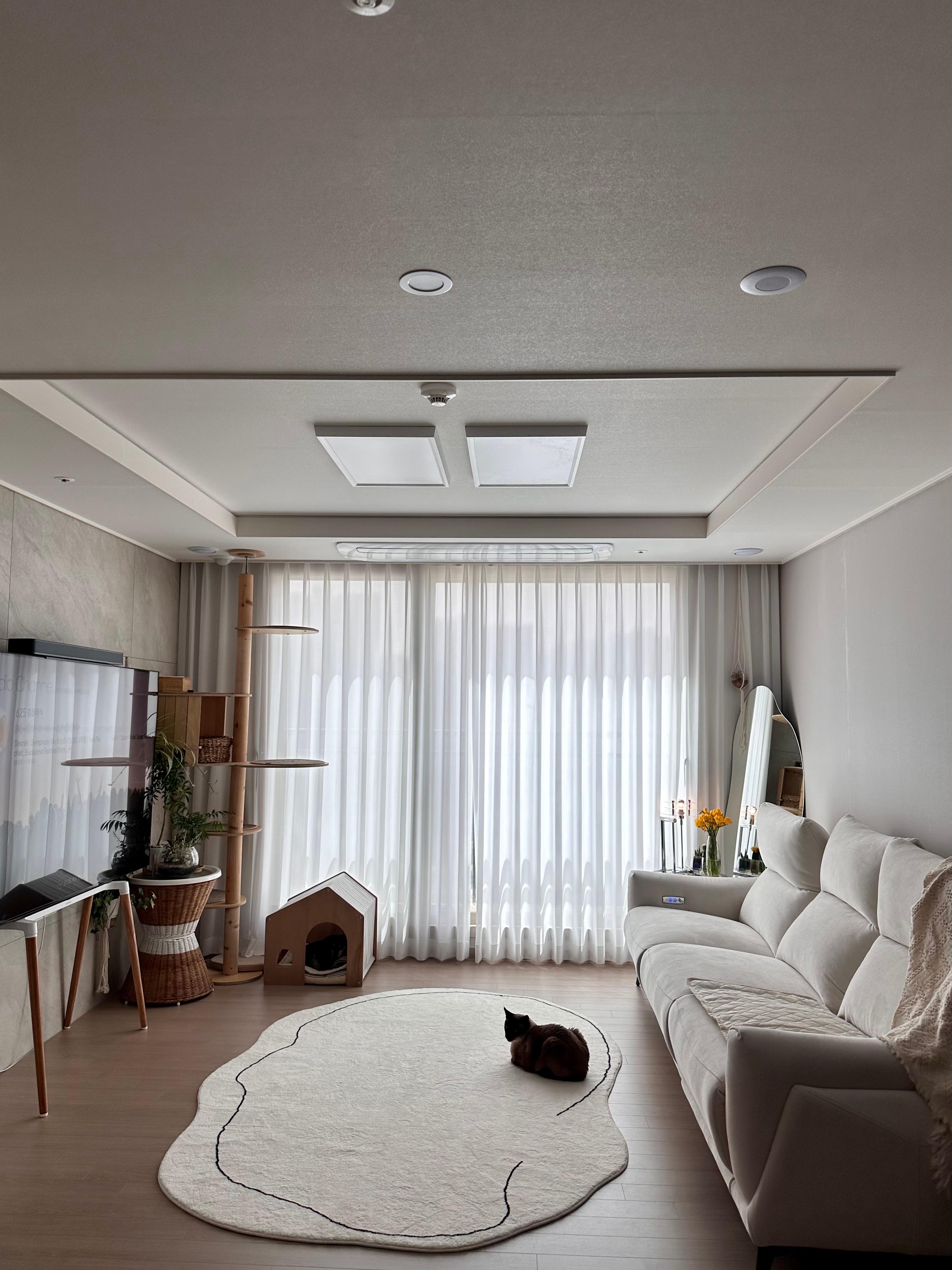 Cloud Rug user photo