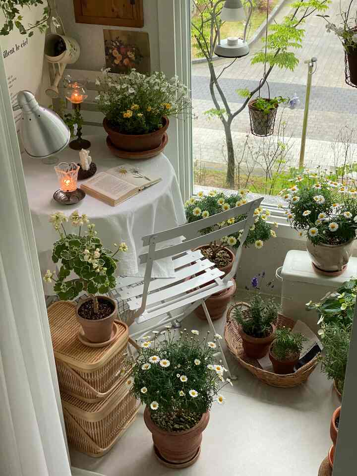 White and beige-toned veranda featuring rattan baskets and various potted plants creating a cozy natural atmosphere
