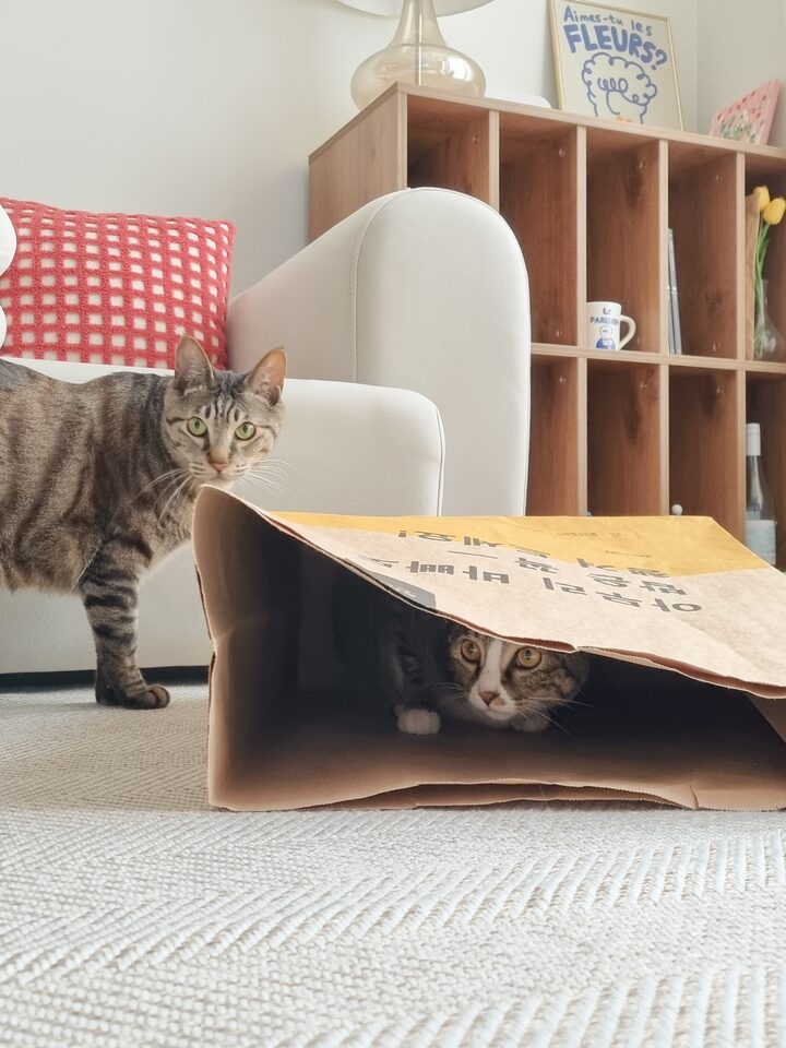 short form carousel card thumbnail