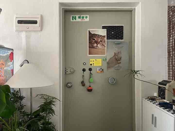 Natural style entrance with white walls and gray door, featuring plants and a large floor lamp creating a cozy atmosphere