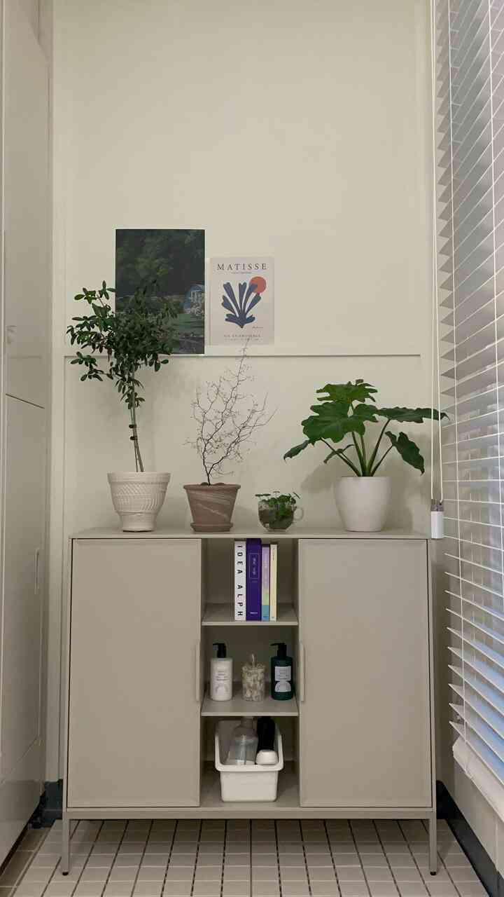 White-walled veranda featuring a storage cabinet topped with potted plants and posters, presenting a simple, clean interior