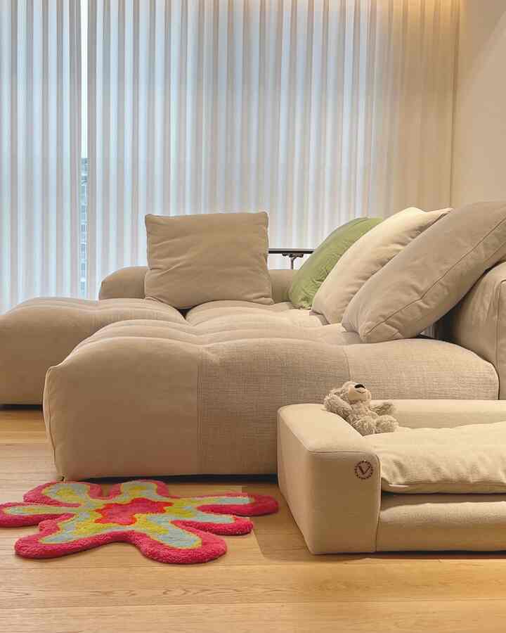 Beige-toned living room featuring large sofa and pet bed with colorful, flower-shaped rug creating a cozy atmosphere