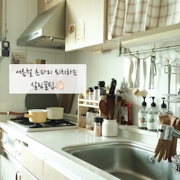 초파리와의 싸움이 시작되었습니다☺️
살림에 닿는 손길이 더 분주해졌어요.
