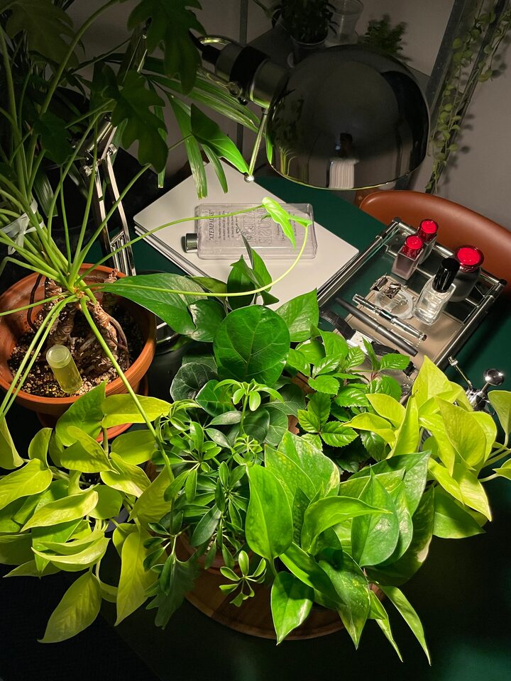 short form carousel card thumbnail