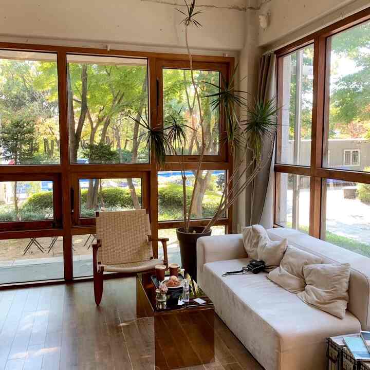 Wood tone and green cafe-style living room featuring sofa, armchair, and large windows with view of trees outside, natural plant decor