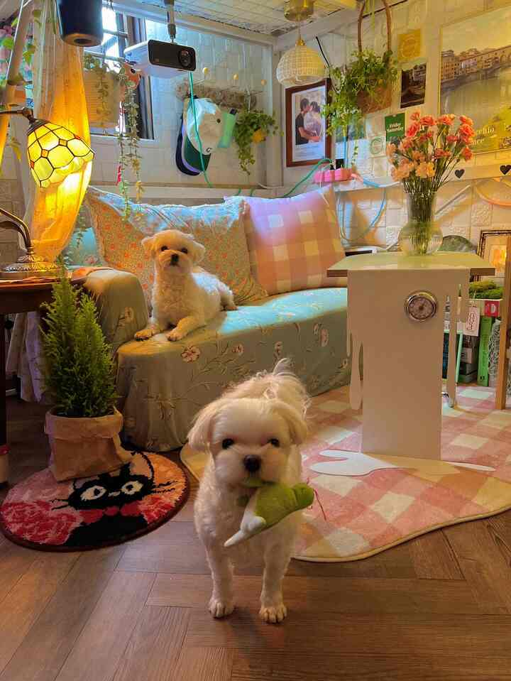 温かみのあるイエロー照明とナチュラルな木目調が調和した小さなリビング、植物と花がアクセントのヴィンテージ風インテリア