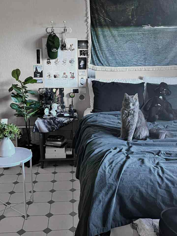 Natural color bedroom featuring blue bedding and a grey cat creating a calm atmosphere