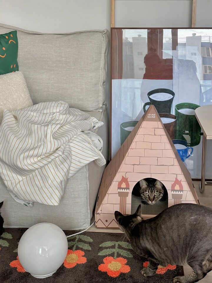 short form carousel card thumbnail