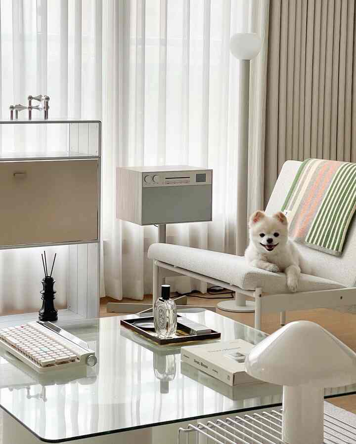 White and brown toned living room featuring a sofa with a dog, showcasing a clean modern style space
