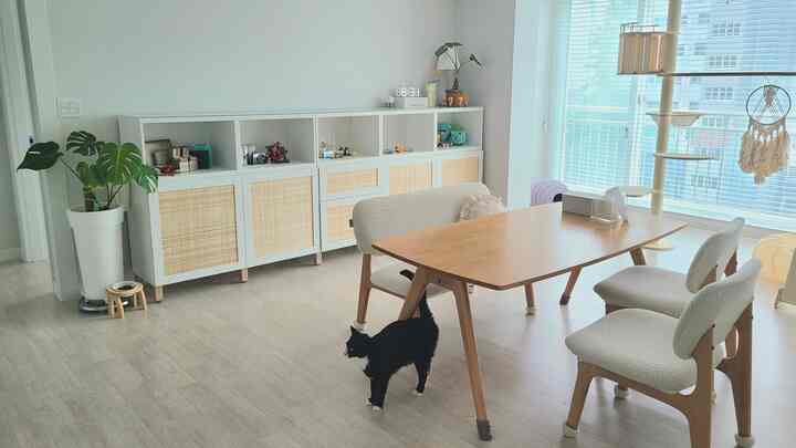 White and wood tone living room featuring rattan-door storage, wood dining set, cat tower and a cat in a natural ambiance