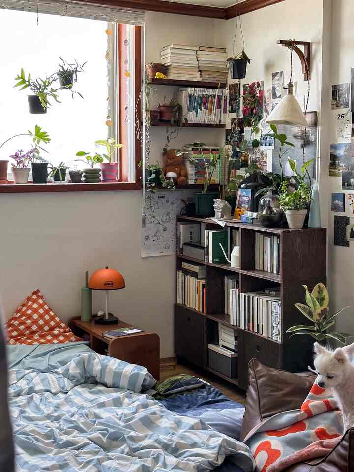Natural wood tone small bedroom featuring abundant plants, cozy lighting, and a pet dog creating a comfortable space