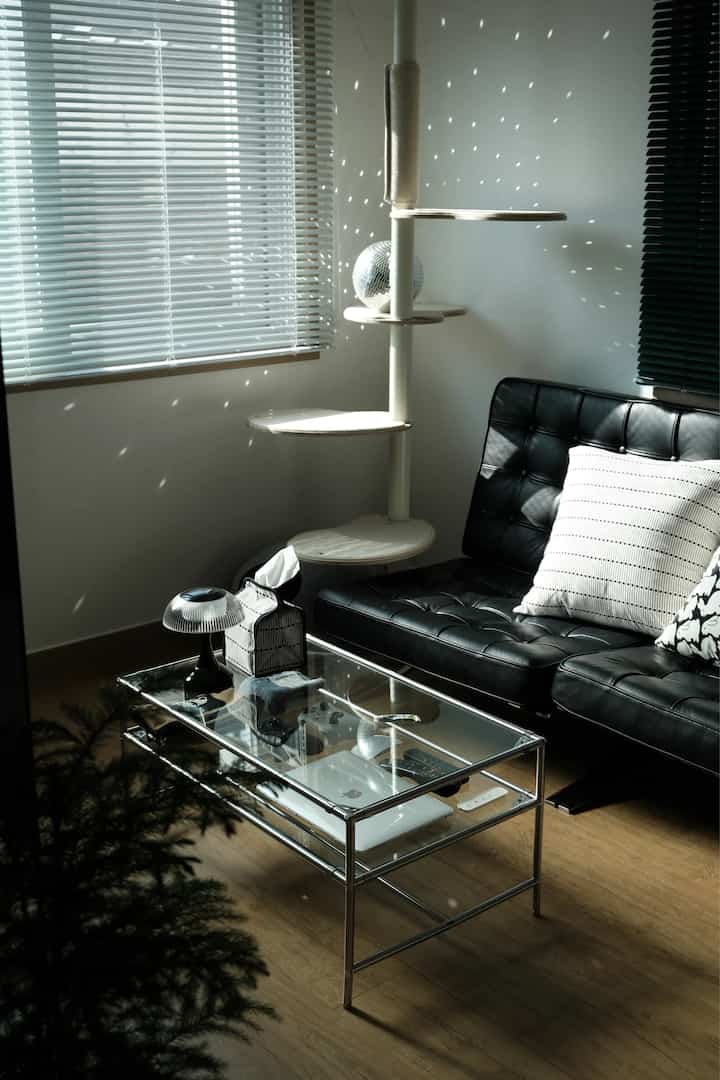 ウッド調の床と黒のレザーソファが配置されたモダンな一人暮らしのリビング、キャットタワーとミラーボールが印象的なインテリア