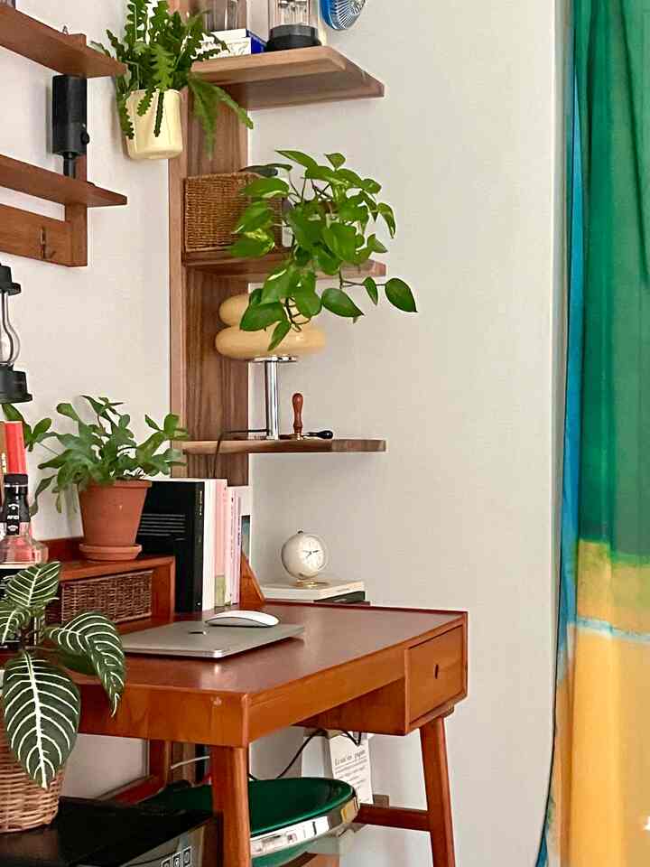 A natural wood-toned and white-walled compact bedroom featuring a desk with green plants and a calm home cafe atmosphere