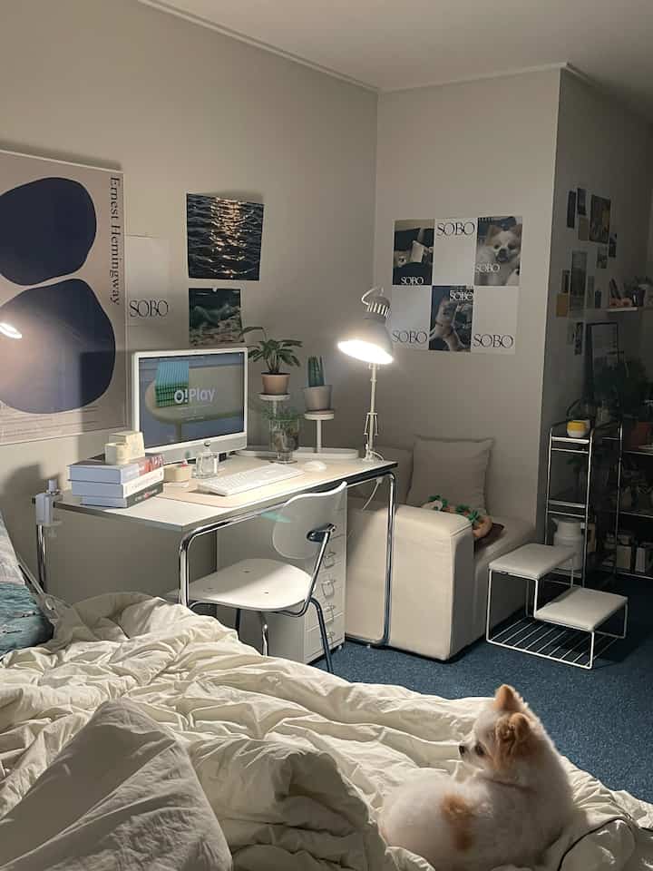 White and blue toned bedroom and home office featuring desk, armchair, and a small dog in a cozy space