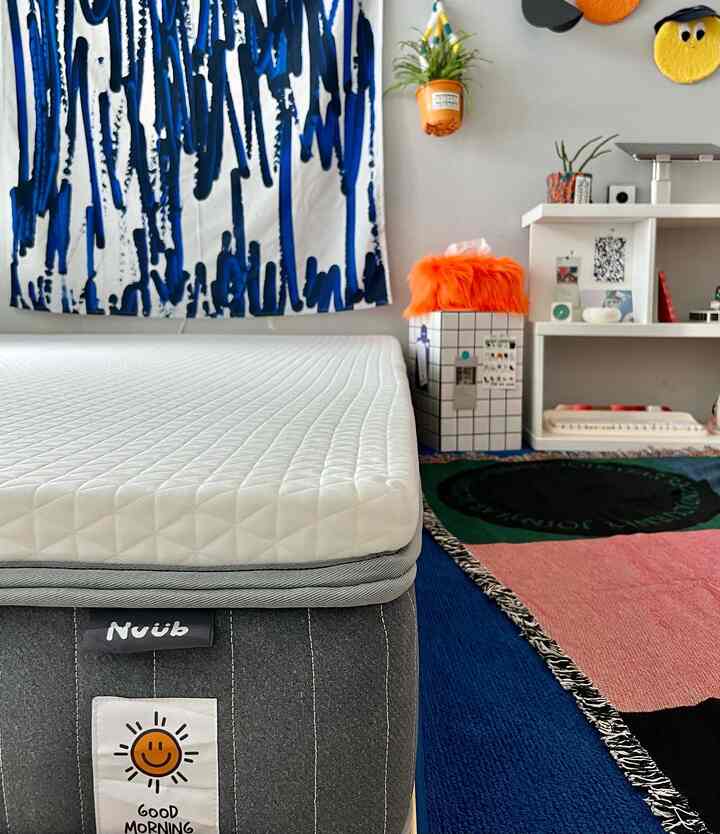Modern and natural 6-tatami bedroom featuring a white mattress with gray bed frame, blue and pink rug, and potted plants