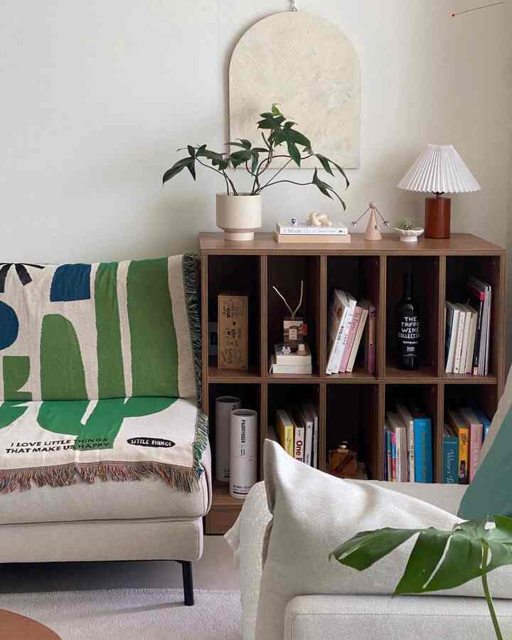 Natural toned living room featuring wooden bookshelf and green plants in a cozy interior space