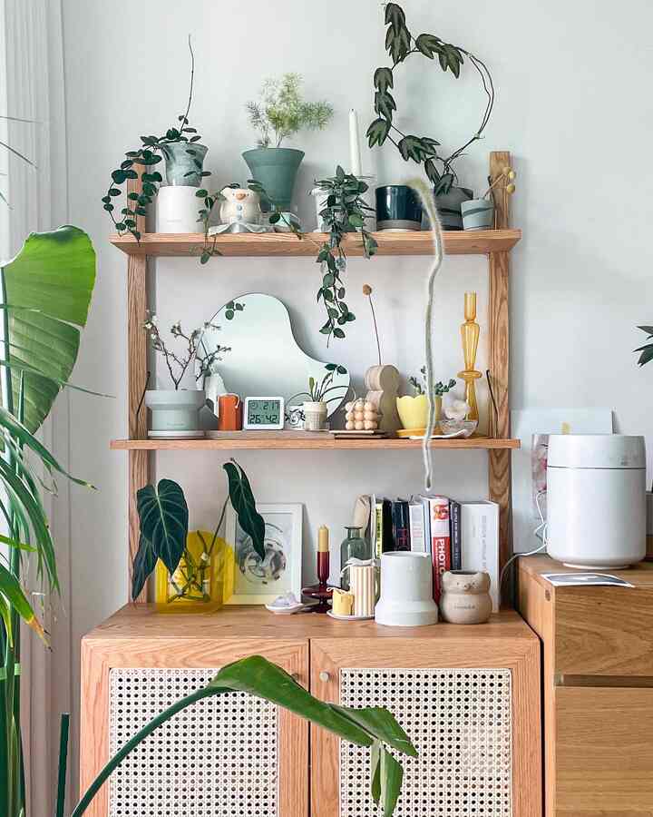 6月のオハウス💚


理事地獄

前週から引越地獄に落ちました！

引っ越し当日、私は植木鉢を除いて、

どんどん手が滑りますよ🥺

今度は植物の部屋を作ってお部屋とリビングに置かないとしましたが失敗しました^^
新しい家の3日目ですが、まだ整理できません。

新しくてきれいな週になります:)  #홈가드닝 #플랜테리어 #오하우스 #오하우스시즌8 #집꾸미기 #홈스타일링 #식물키우기 #식덕 #팟덕 #식린이 #식집사 #식물스타그램 #감성식물 #plant #planterior #homegardening #plantpot #pottery #pot #peperomiahope #식물선반 #식물인테리어 #이사 #분갈이