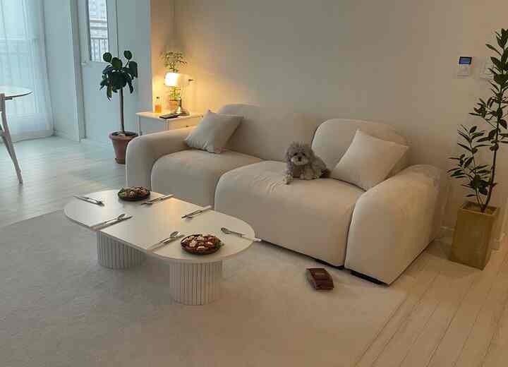 白とベージュの落ち着いたリビング、ソファに小さな犬と自然の植物が配置された雰囲気のある空間