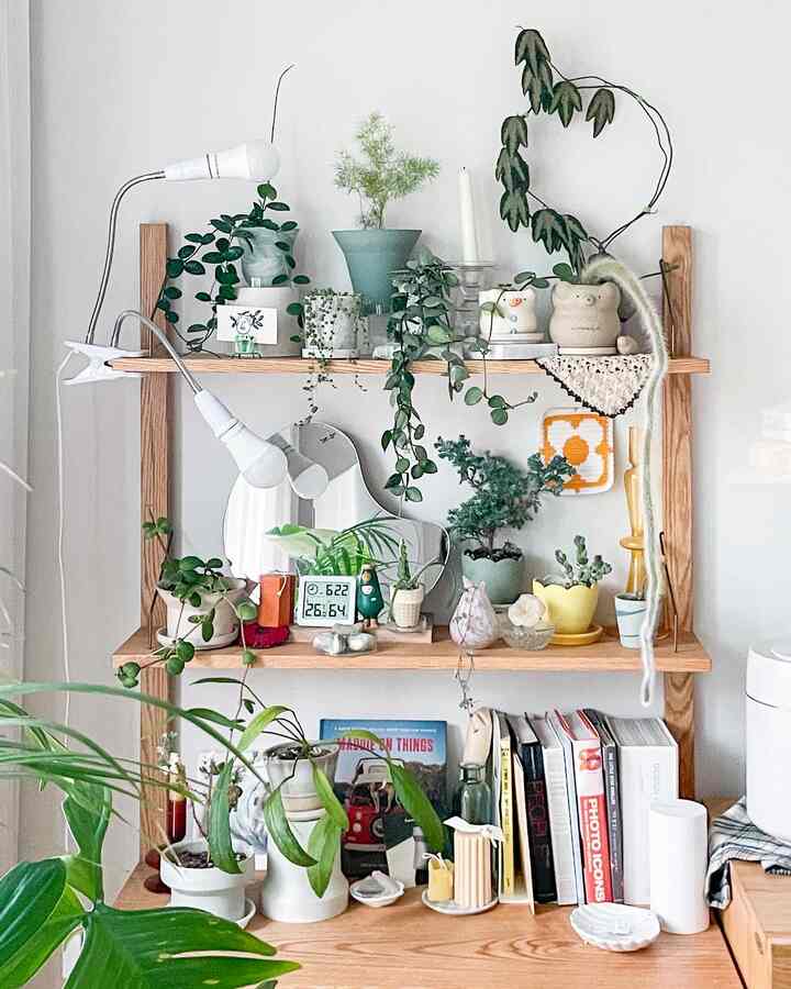 6月のオハウス🤍

#食後 

理事記念

セットでブンガルがやってくれました🪴🪴

可愛い子どもたちが可愛くなったよ😆

今週末は雨の金に家の隅でブンガルを試すべきです🤪

残りの日は良い一日になります:) 禁煙！

＃植物の生活

＃オーハウスシーズン8 plant #planterior #homegardening #plantpot #gardening #植物インテリア #土分 