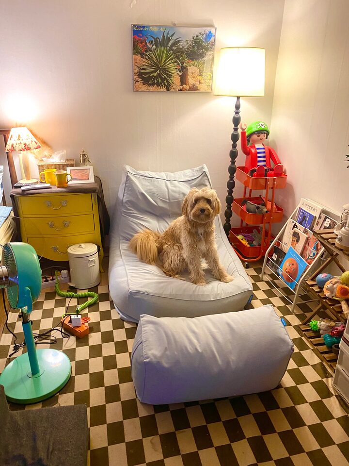 short form carousel card thumbnail